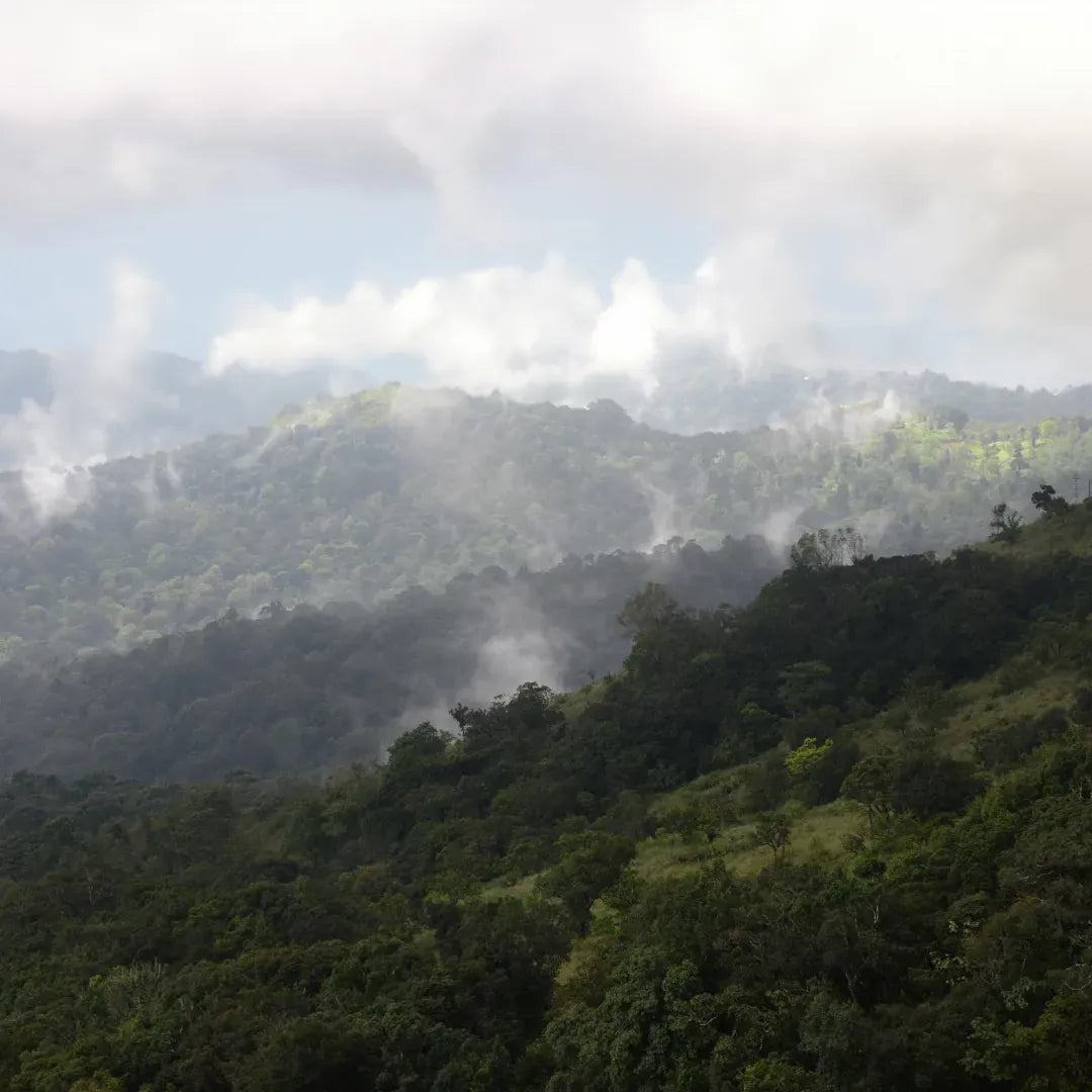 Yelli Landscape