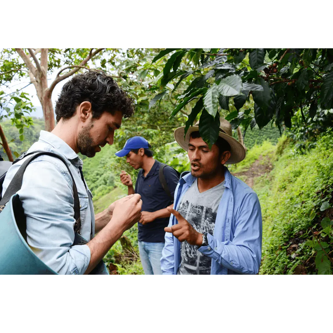ViCAFE visiting Finca Los Nogales