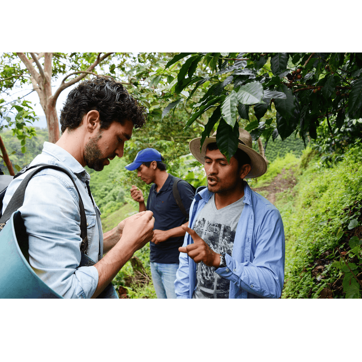 ViCAFE visiting Finca Los Nogales