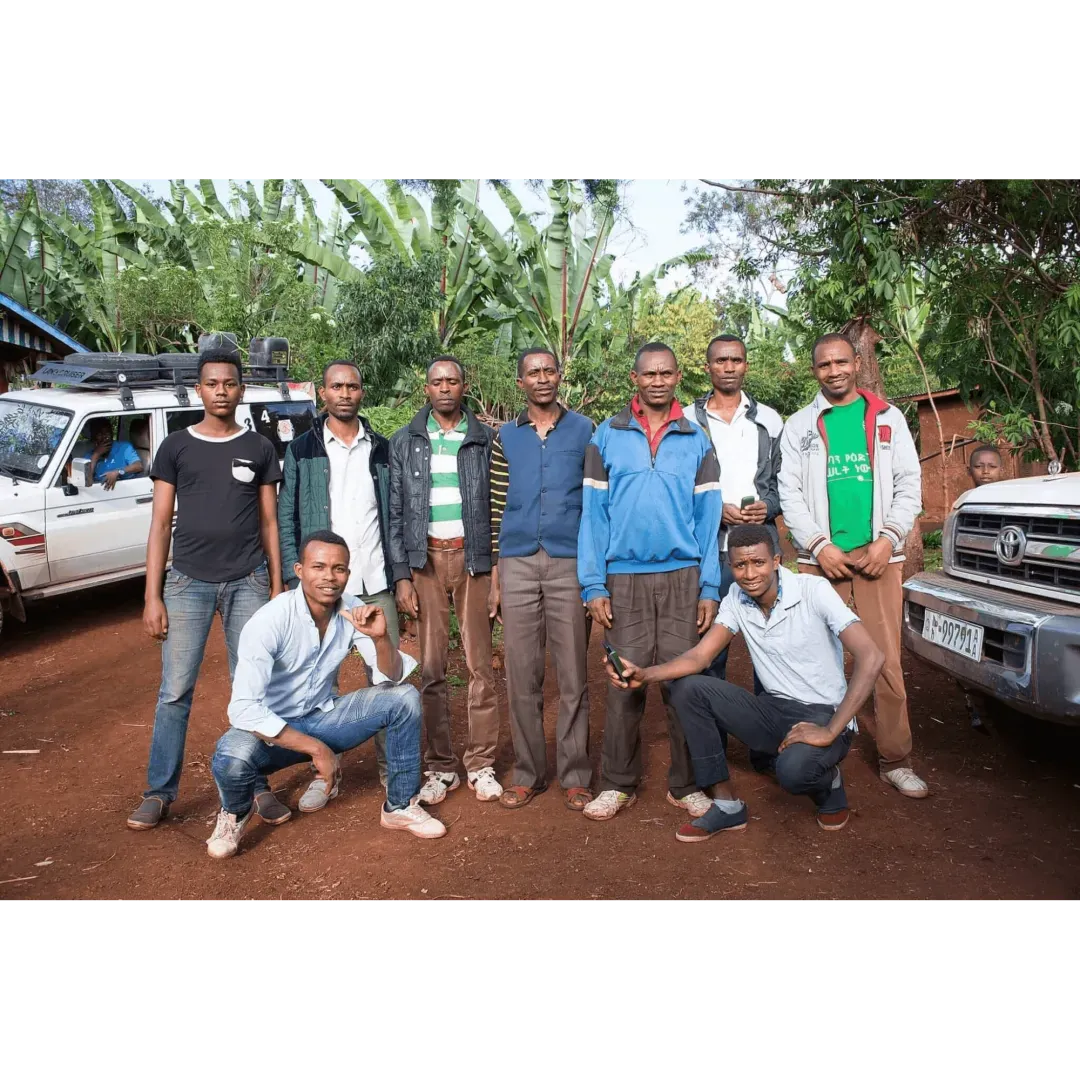 Ethiopia Miju Farm