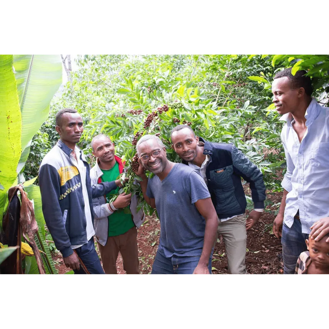 Ethiopia Miju Farm