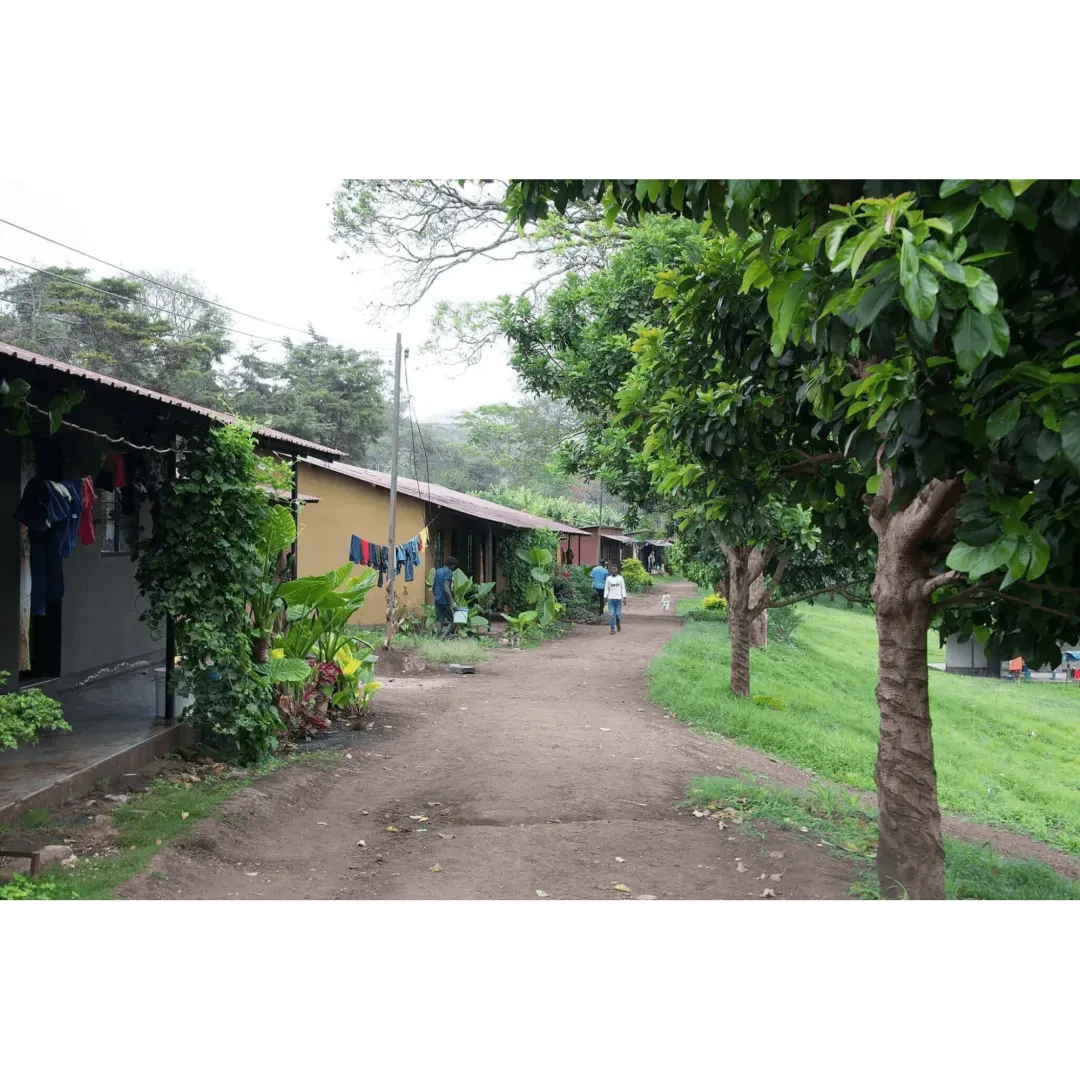 Mondul Coffee Estate