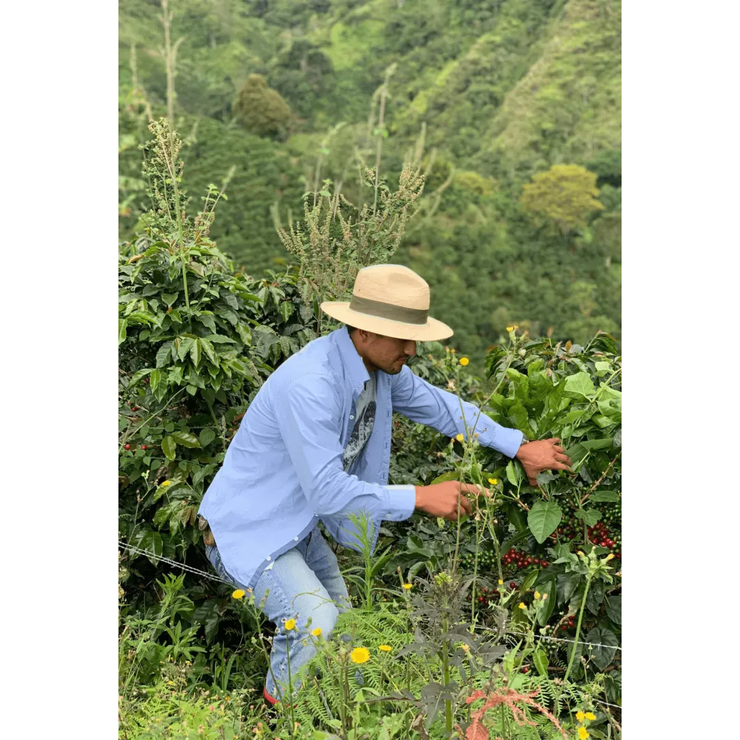 Oscar on his coffee farm