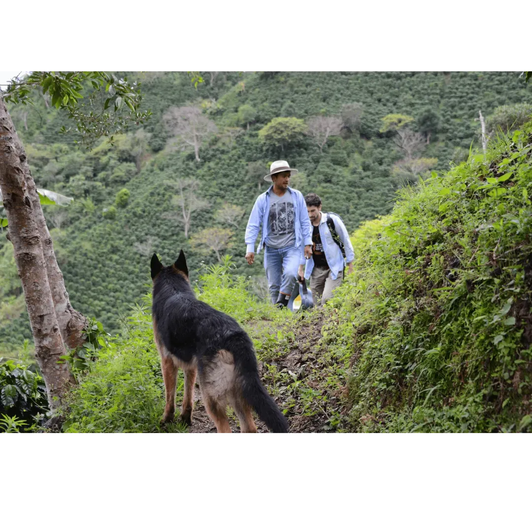 Oscar on his coffee farm Finca Los Nogales