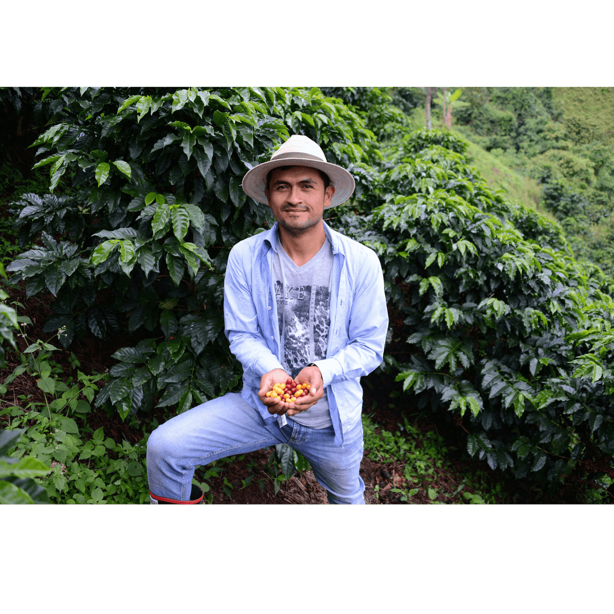 Oscar on his coffee farm Finca Los Nogales