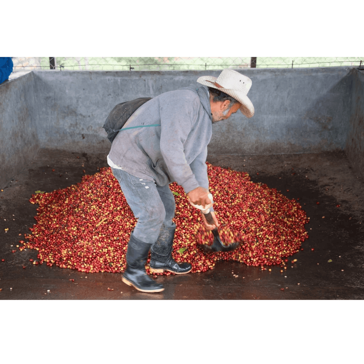 Aprolma Women's Cooperative name changed