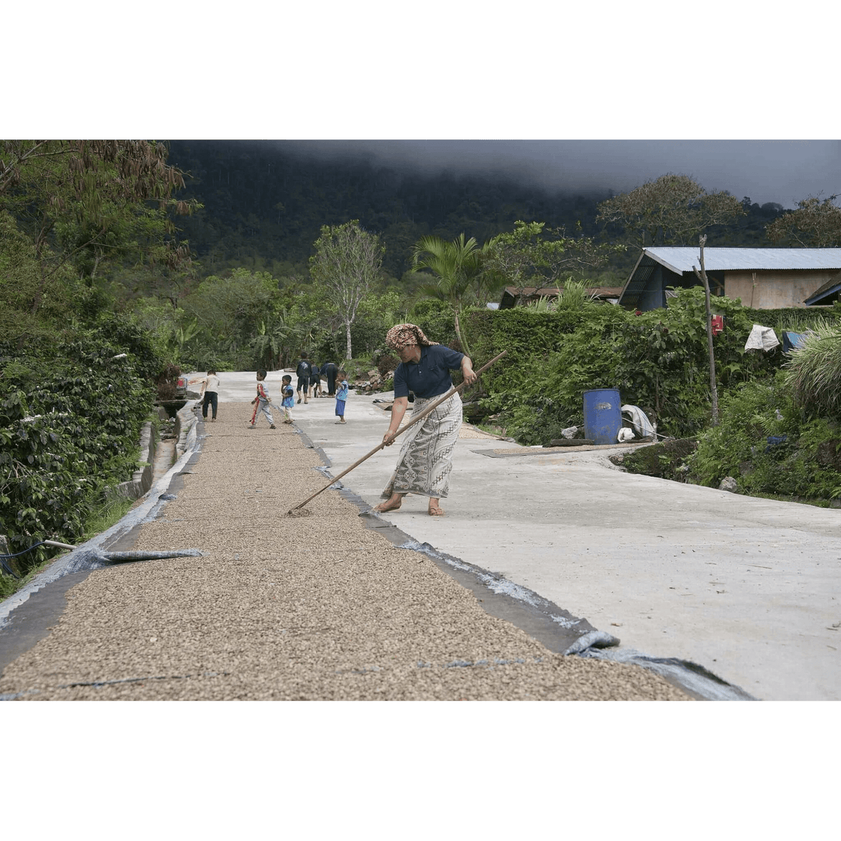 Orangutan Project Coffee