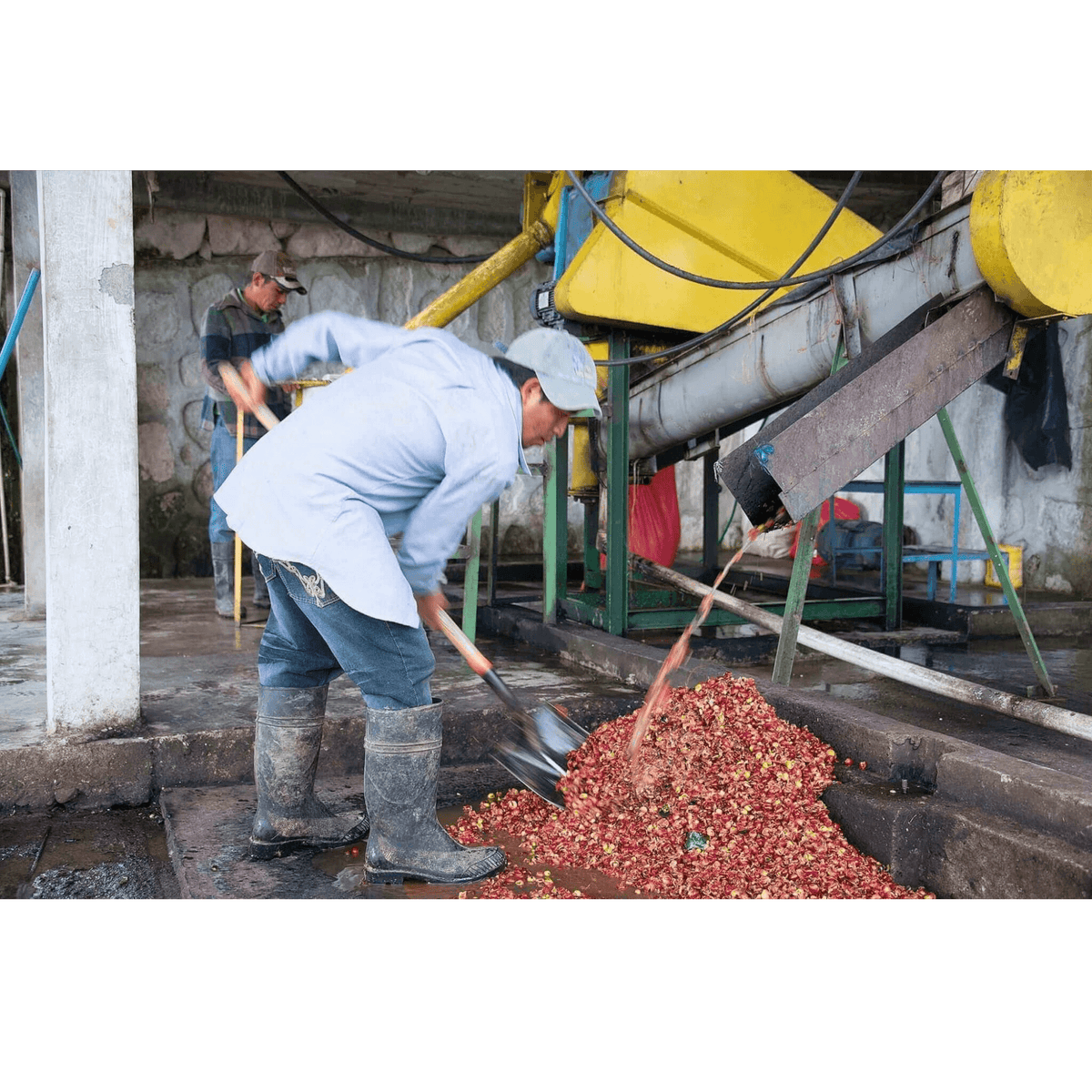 Aprolma Women's Cooperative name changed