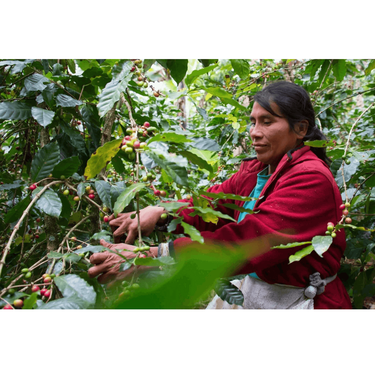 Aprolma Women's Cooperative name changed