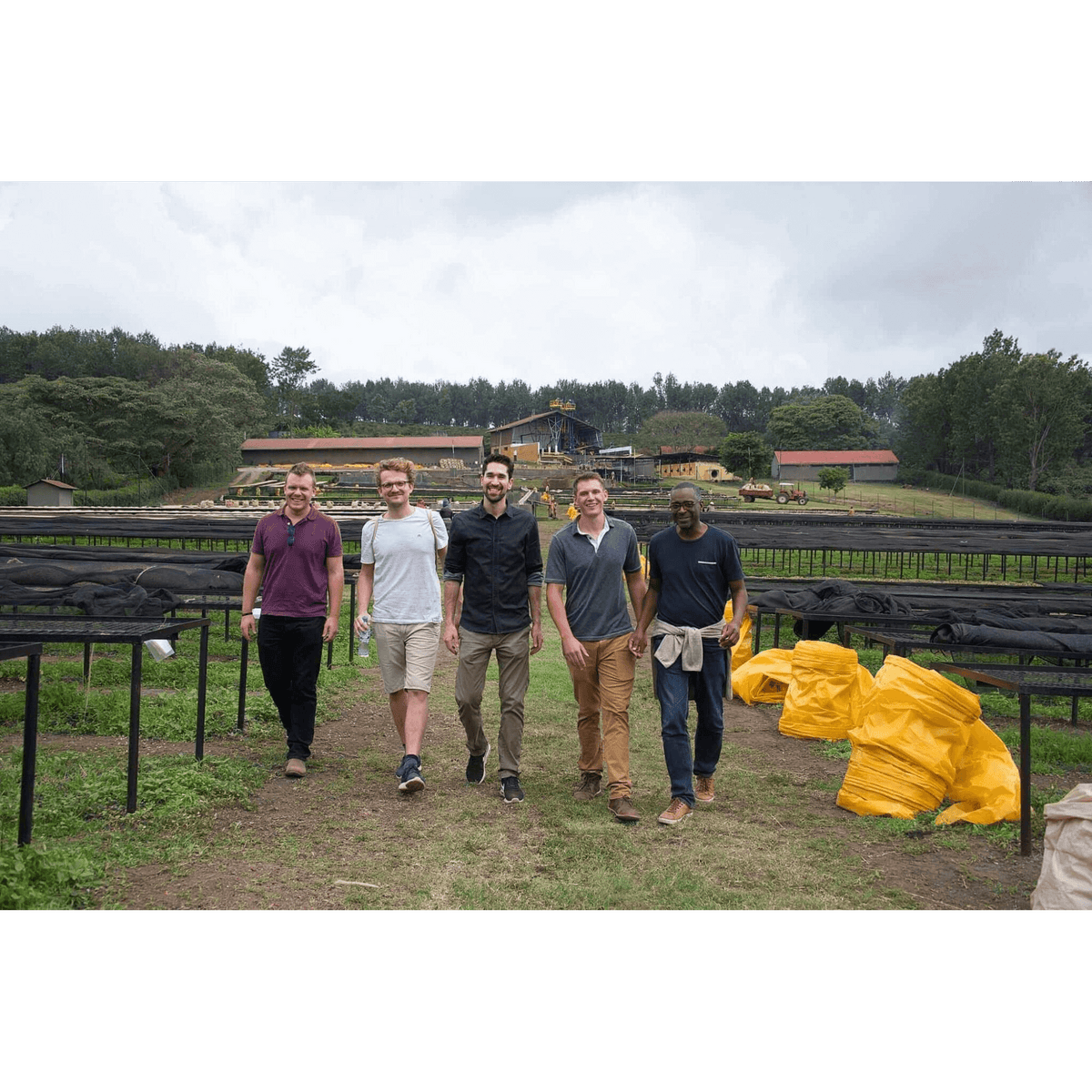 Mondul Coffee Estate 